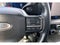 2024 Ford F-350 Super Duty Platinum
