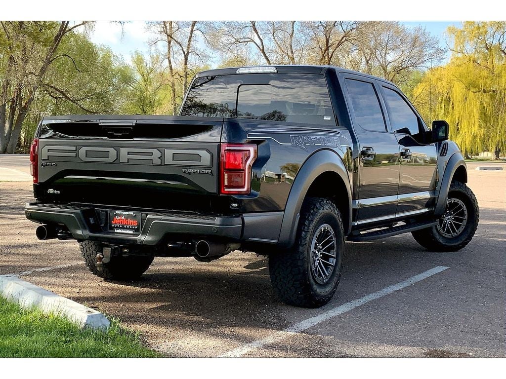 2019 Ford F-150 Raptor