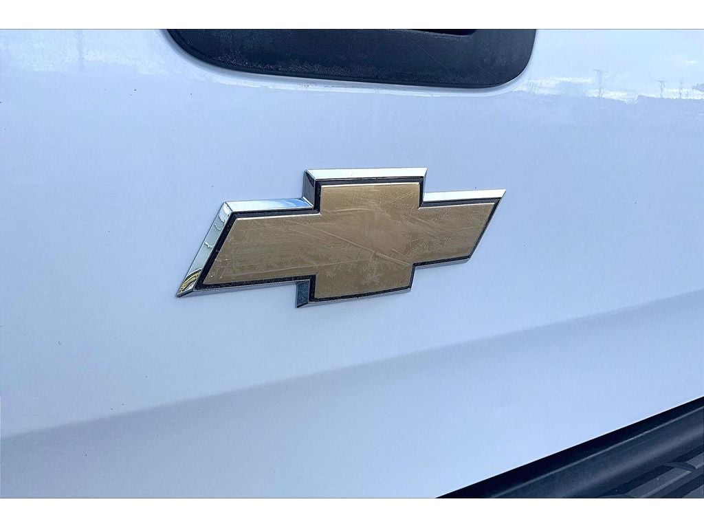 2009 Chevrolet Silverado Work Truck